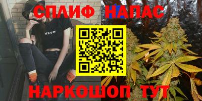 ешки Можга