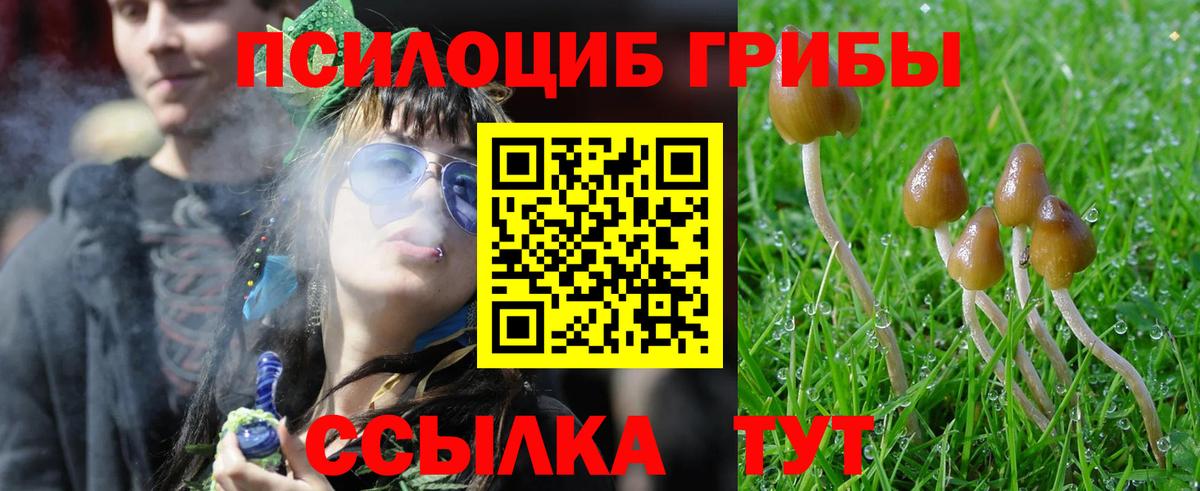 Галлюциногенные грибы Cubensis Кандалакша