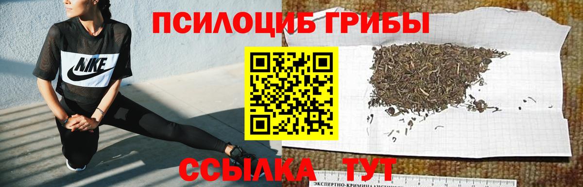 Кандалакша  Галлюциногенные грибы MAGIC MUSHROOMS  Вход с VPN 